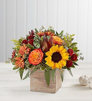 Send Flowers in Mokena, Frankfort, New Lenox, Tinley Park, Orland Park ...