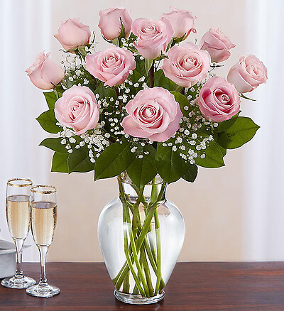 Rose Elegance Pink Roses