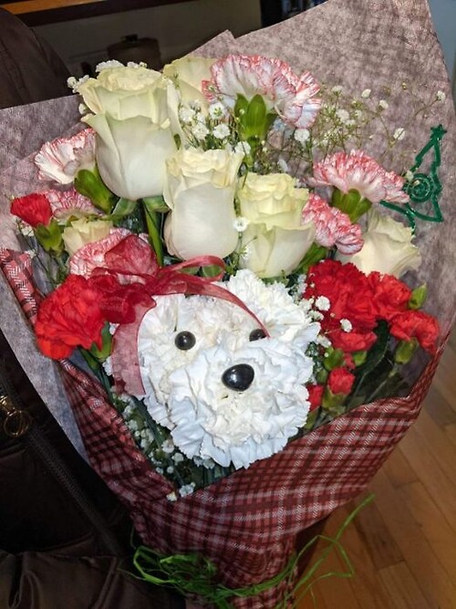 Pup Bouquet