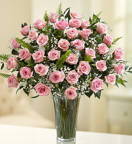 Ultimate Elegance Premium Long Stem Pink Roses