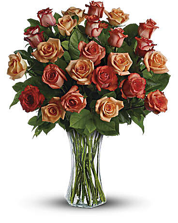 Orange Tangerine Roses