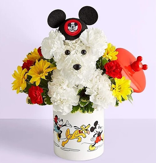 Disney Mickey Mouse and Friends Cookie Jar – a-DOG-able