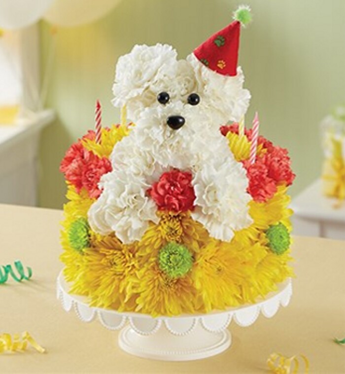 A-Dog-Able Birthday Wishes Cake